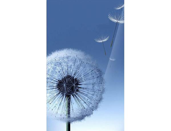 Galaxy S3 Fly Dandelion Live Wallpaper for Android - Download the APK from Habererciyes